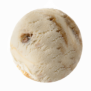 Pralines 'n' Cream Ice Cream