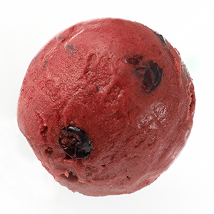 Blackcurrant Sorbet