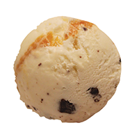 Salted Caramel Ice Cream & Chocolate Chips