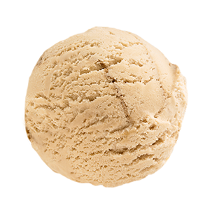 Salted Caramel Ice Cream